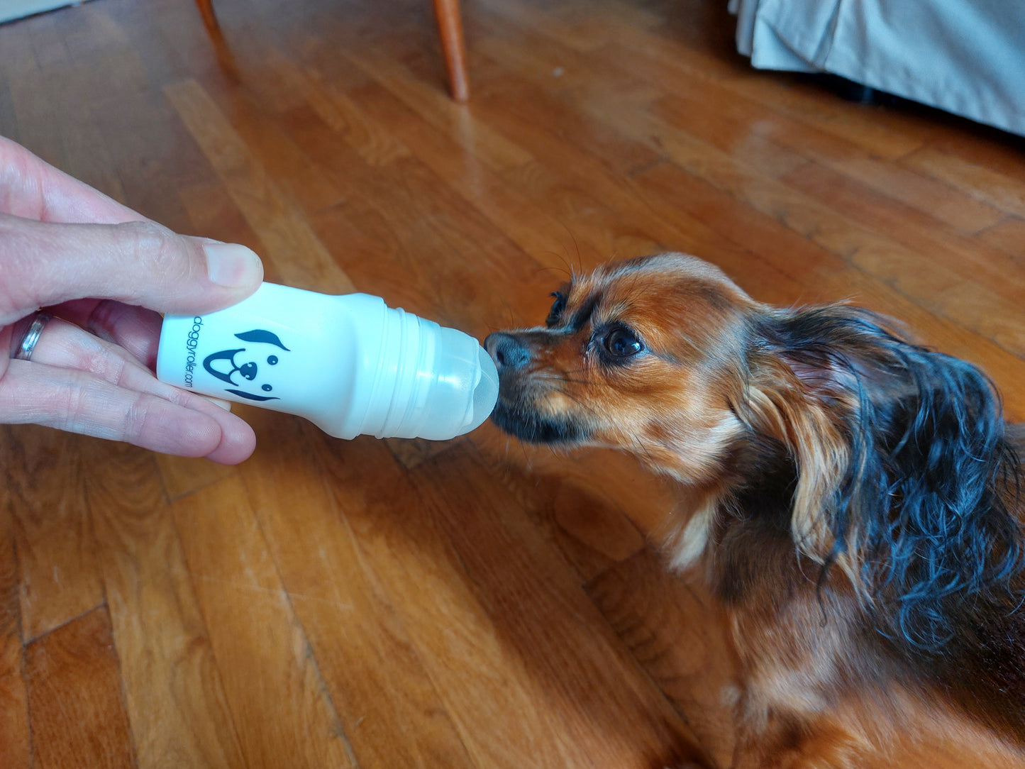 Doggyroller - distributeur de récompenses liquides