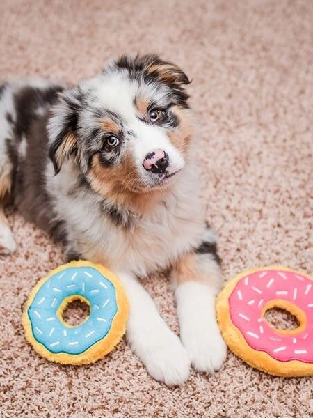 Jouet pour chien - Donut Strawberry
