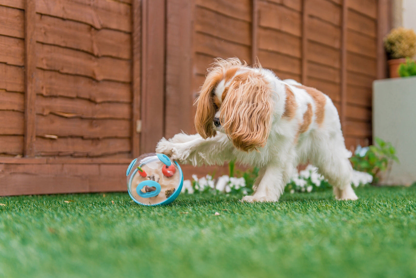 Jouet d'occupation pour chien - Wobble Ball 2.0 - Pumpkin Orange