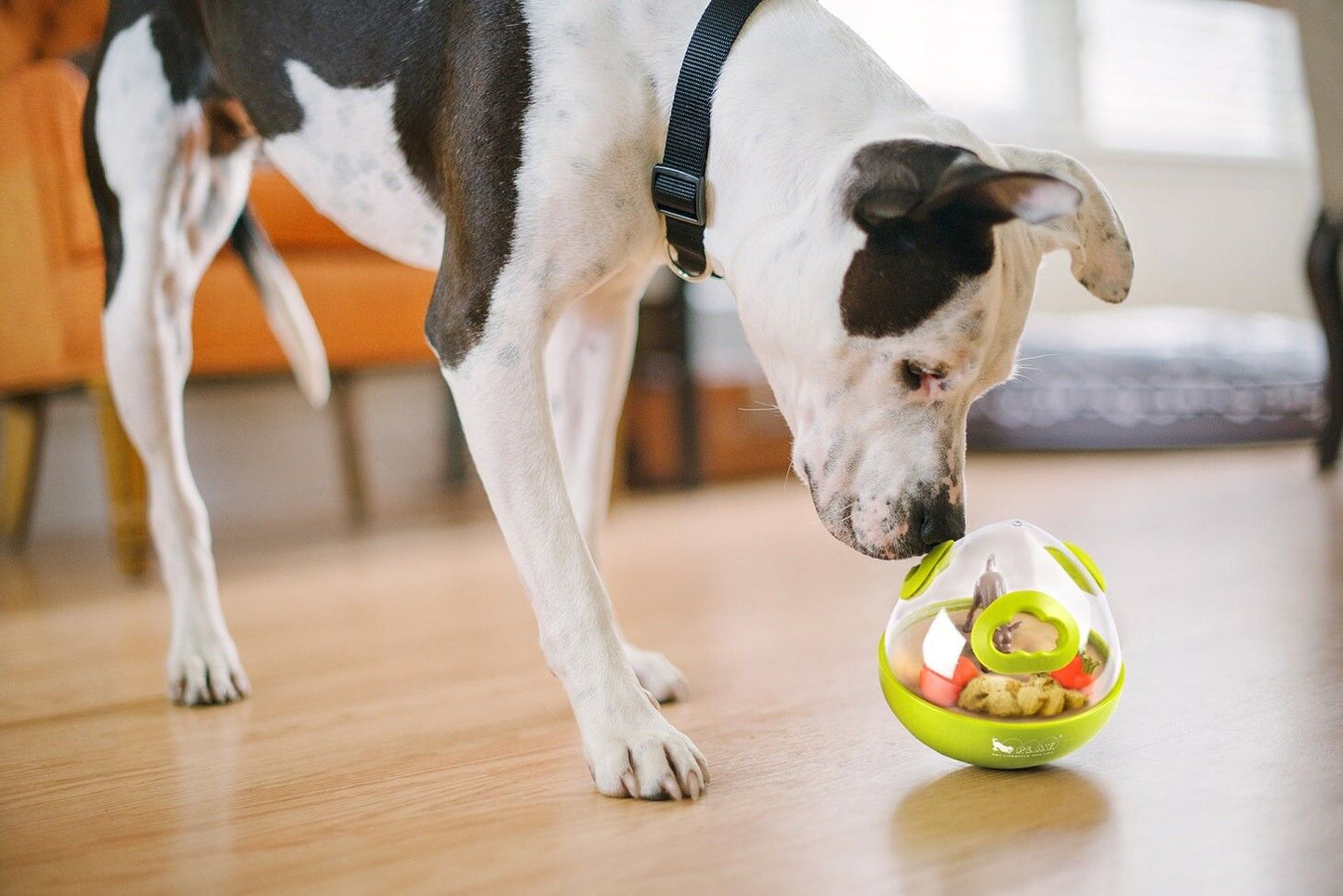 Jouet d'occupation pour chien - Wobble Ball 2.0 - Pumpkin Orange
