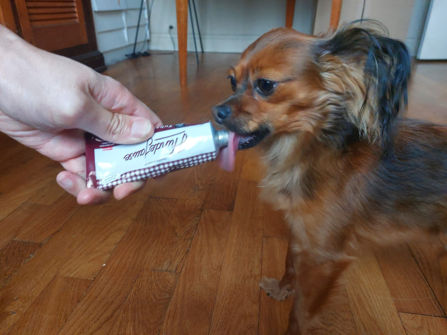 Tube de pâtée à la volaille BIO pour chien