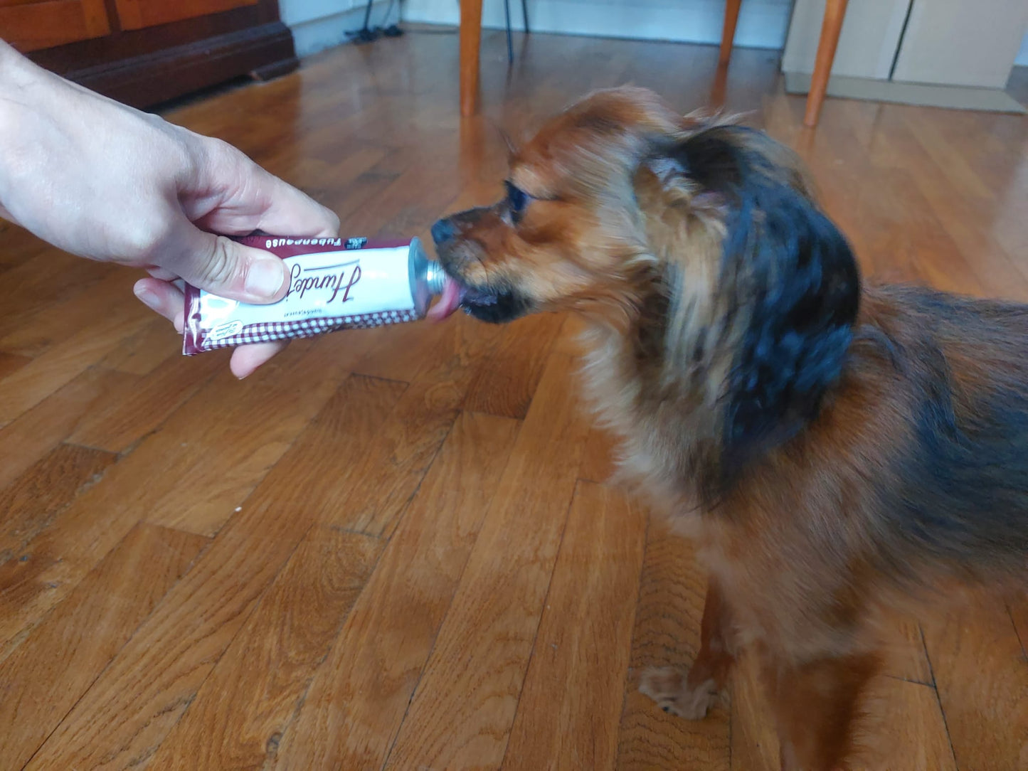 Tube de pâtée à la volaille BIO pour chien