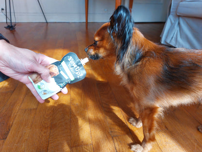 Yaourt à boire pour chien - Prébiotiques naturels - Yow Up !