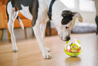Jouet d'occupation pour chien - Wobble Ball 2.0 - Pumpkin Orange
