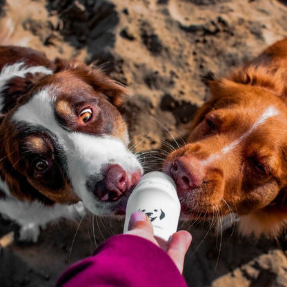 Doggyroller - distributeur de récompenses liquides