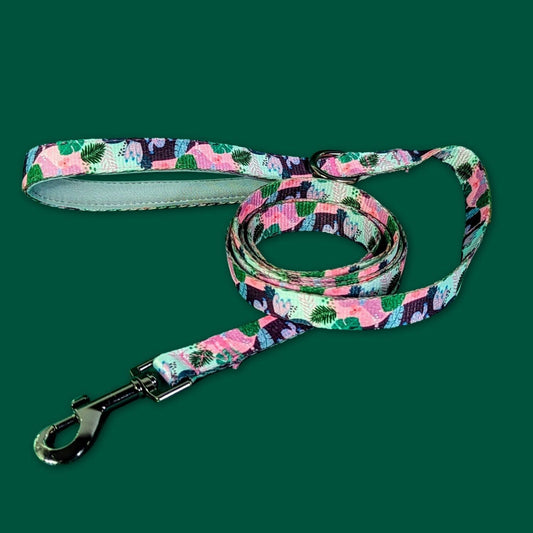 Laisse pour chien 180cm Cactus