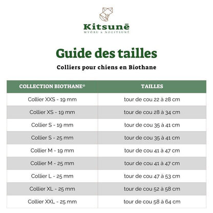 Collier chien en BioThane® - vert EMERAUDE