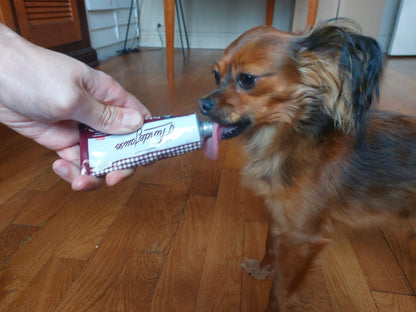 Tube de pâtée à la volaille BIO pour chien