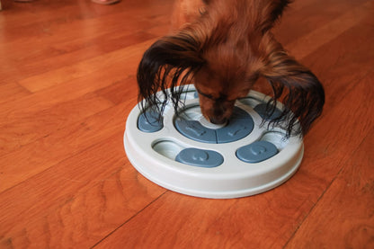 Puzzle pour chien